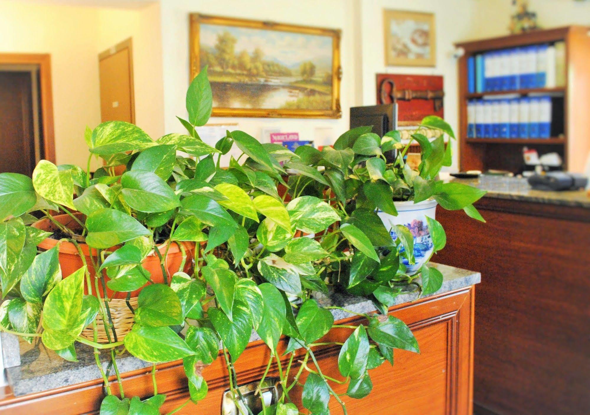 Hotel Octavia Roma Dış mekan fotoğraf